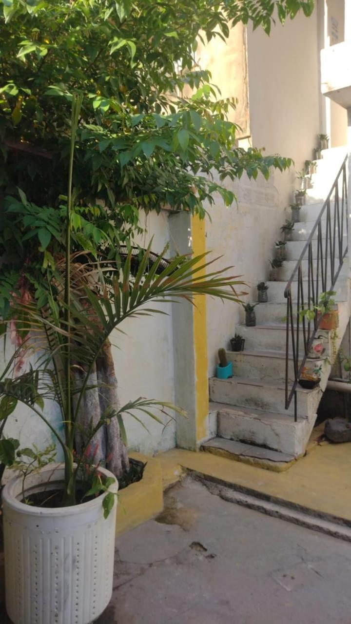 Hostel Residence Girassol 贝伦 外观 照片
