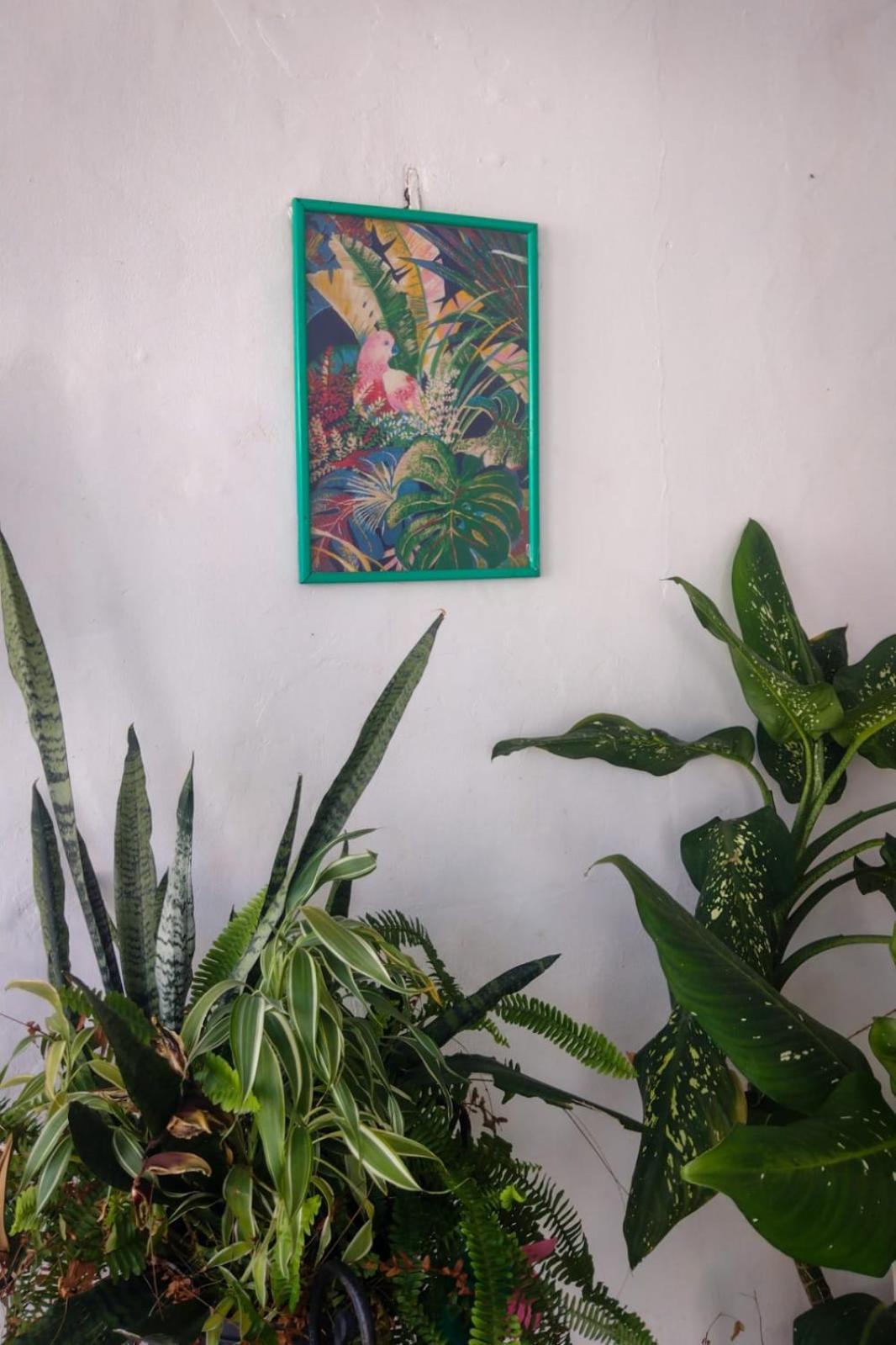 Hostel Residence Girassol 贝伦 外观 照片